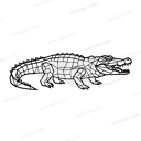 Crocodile