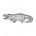 Crocodile