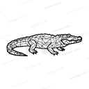 Crocodile