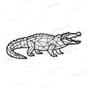 Crocodile