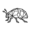 Coccinellidae