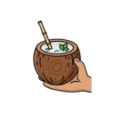 Coconut water