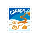 Maple syrup