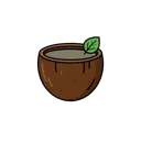 Kava