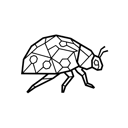 Coccinellidae